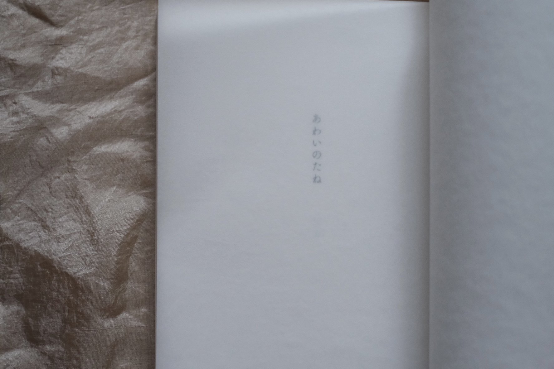 『あわいのたね』の扉ページ